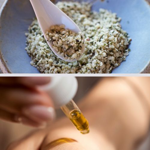 HEMP SEEDS AND SEED OIL HEALTH AND SKIN BENEFITS