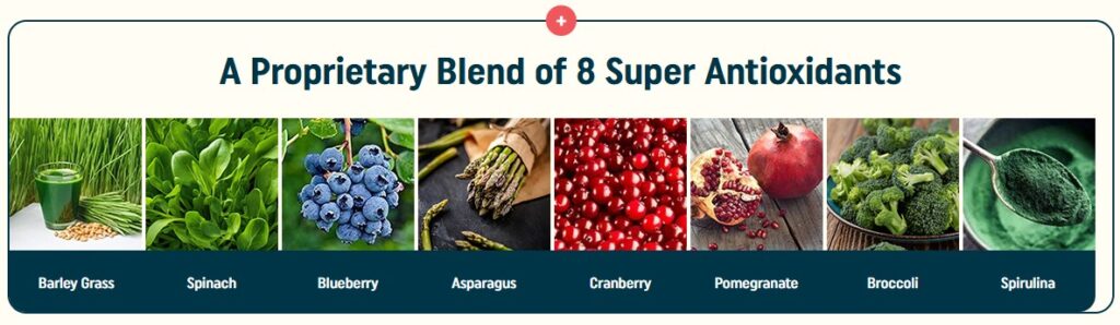 nagano lean body tonic 8 super antioxidants
