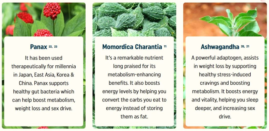 nagano lean body tonic ingredients panax, momordica charantia, ashwagandha