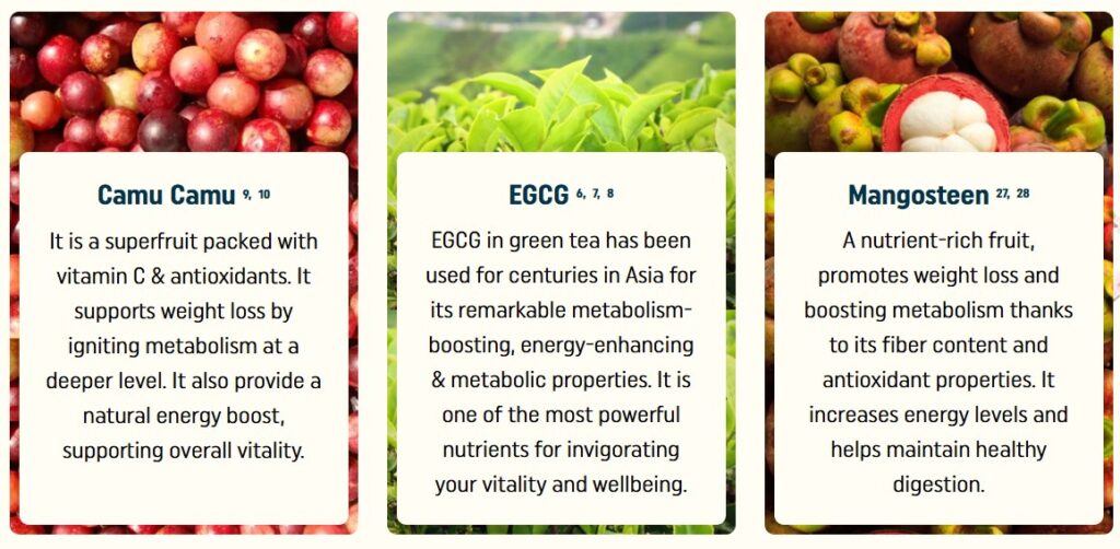 nagano lean body tonic ingredients camu camu, egcg, mangosteen